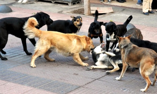 Noticias Cusco